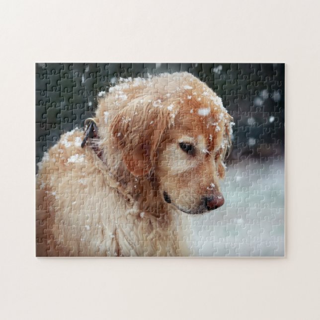 Snow Golden retriever  Jigsaw Puzzle (Horizontal)