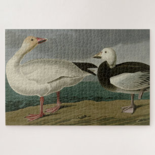 Snow Goose from Audubon's Birds of America Jigsaw Puzzle