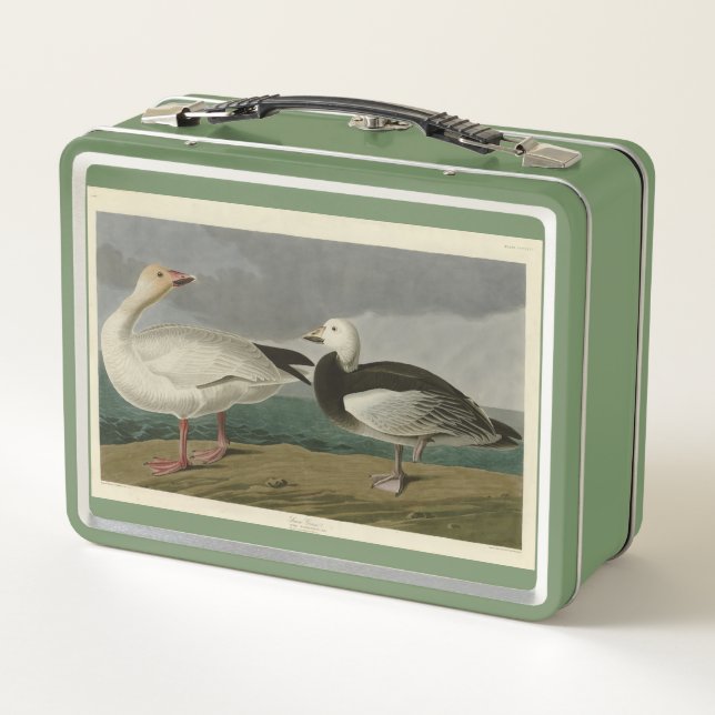 Snow Goose from Audubon's Birds of America Metal Lunch Box (Back)