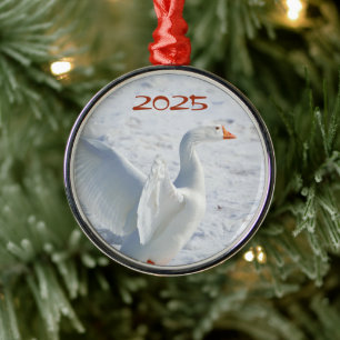 Snow Goose on Snow with Wings Lifted Metal Ornament