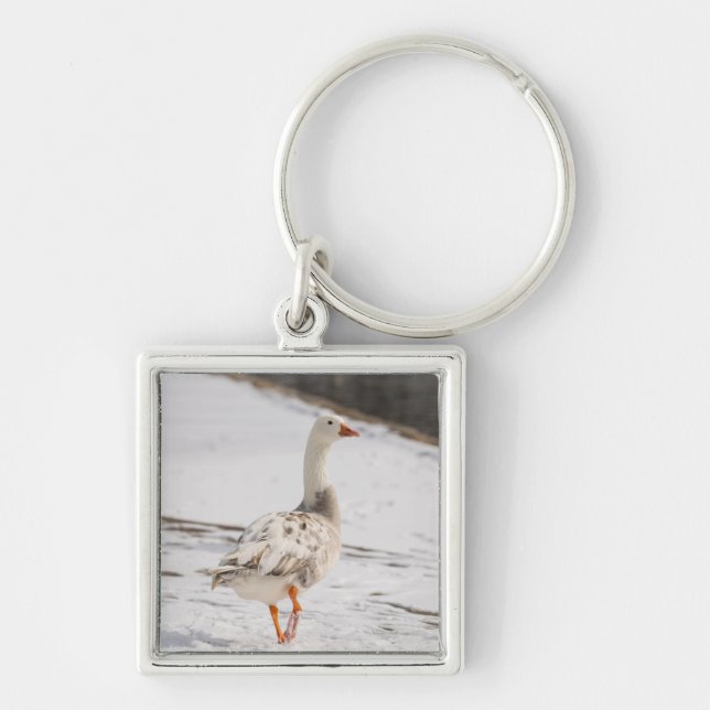 Snow Goose Strut Key Ring (Front)