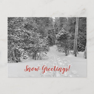 Snow Greetings from Tahoe City! Postcard