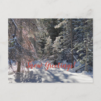 Snow Greetings from Tahoe City!  Postcard