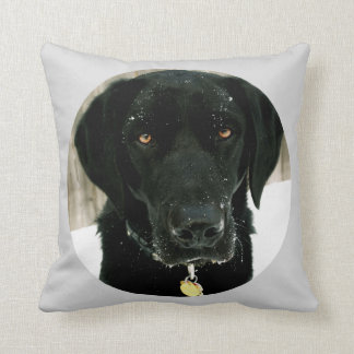 Snow how to Play Nice Black Lab Pillow