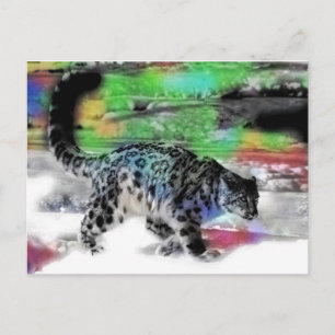 Snow Hunter 5 Postcard