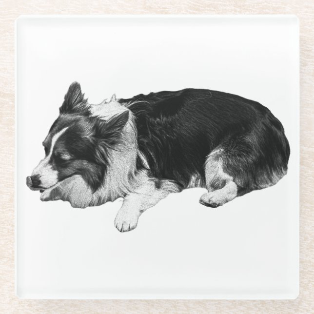 snow hush rest, corgi glass coaster (Front)