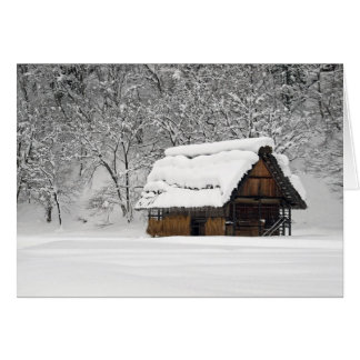 Snow Hut