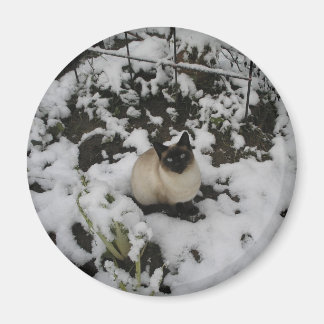 Snow Images, Snow Cat Magnet