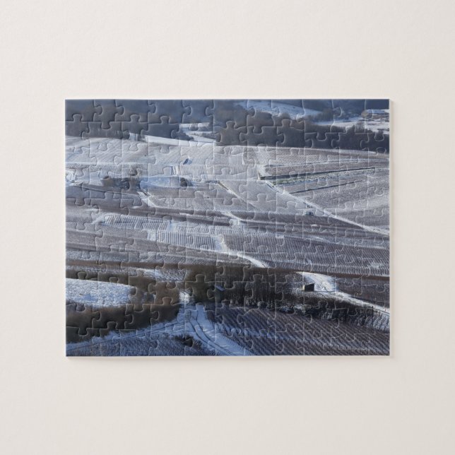 Snow in Champagne Jigsaw Puzzle (Horizontal)