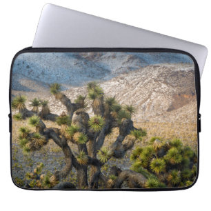 Snow In Death Valley Laptop Sleeve