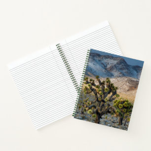 Snow In Death Valley Notebook