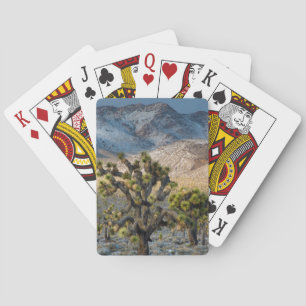 Snow In Death Valley Playing Cards