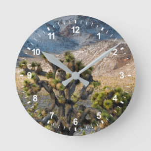 Snow In Death Valley Round Clock