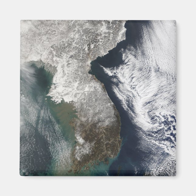 Snow in Korea Magnet (Front)