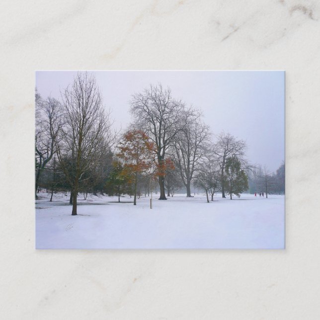 Snow in the Park, Mini Photo Business Card (Front)