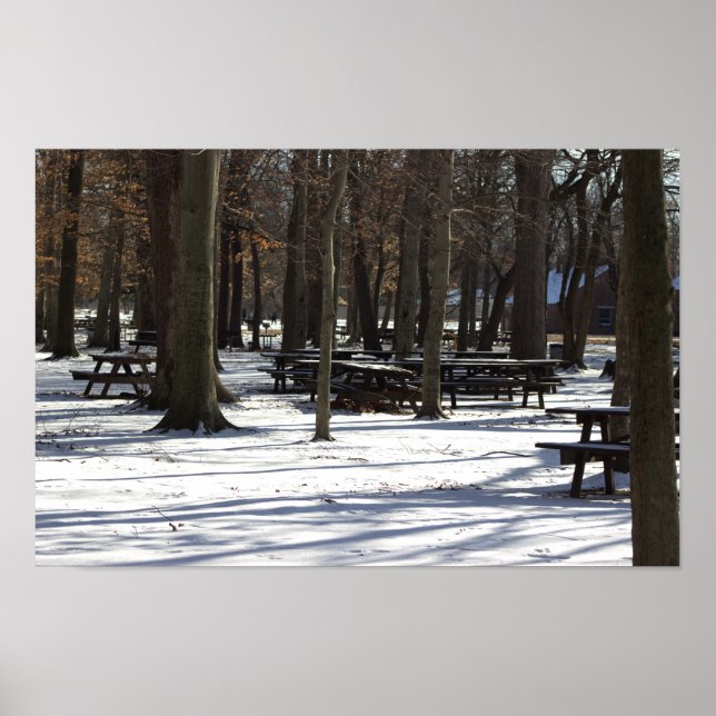 Snow in the Park Poster (Front)