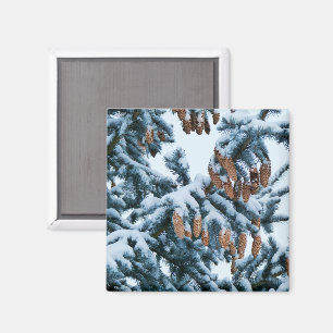 Snow in the Pines Magnet