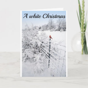 SNOW IS SO BEAUTIFUL-HOPE YOUR CHRISTMAS IS TOO CARD