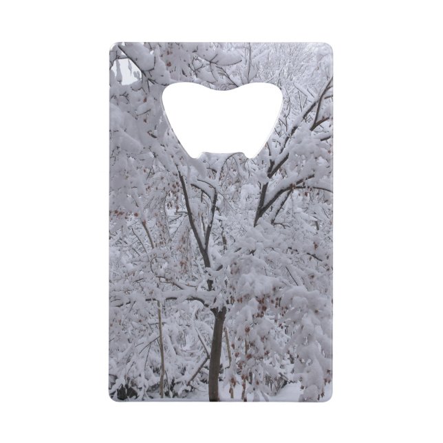 Snow-Laden Trees (Front)