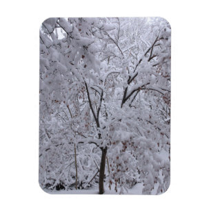 Snow-Laden Trees Magnet