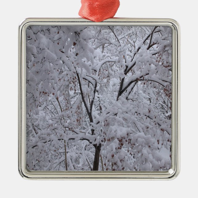 Snow-Laden Trees Metal Ornament (Front)