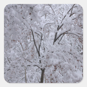 Snow-Laden Trees Square Sticker