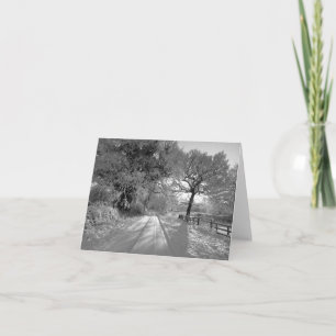 Snow Landscape: Cheshire Card