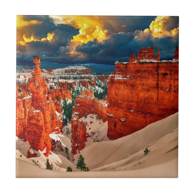 Snow landscape winter cold nature tile (Front)