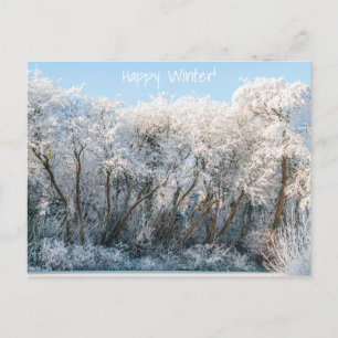 Snow Landscape Winter Photo Postcard