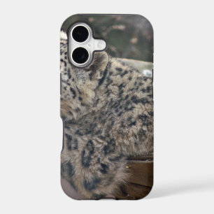 Snow Leopard