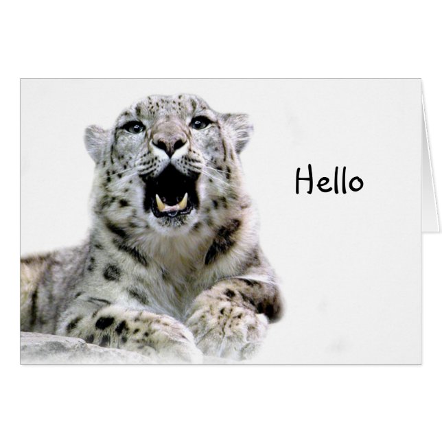 Snow Leopard (Front Horizontal)