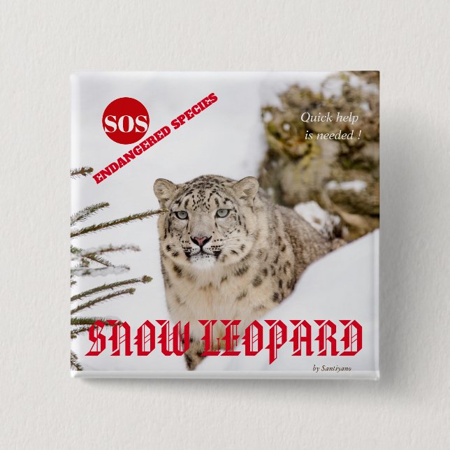 Snow Leopard 15 Cm Square Badge (Front)