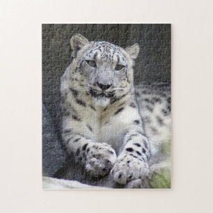 snow leopard 27 jigsaw puzzle