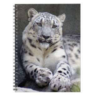 snow leopard 27 notebook