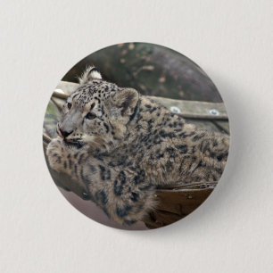 Snow Leopard 6 Cm Round Badge