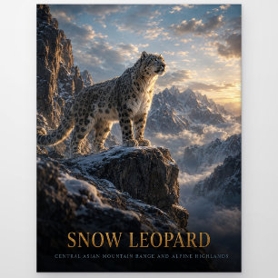 Snow Leopard Alpine Highlands ANIMALS Postcard