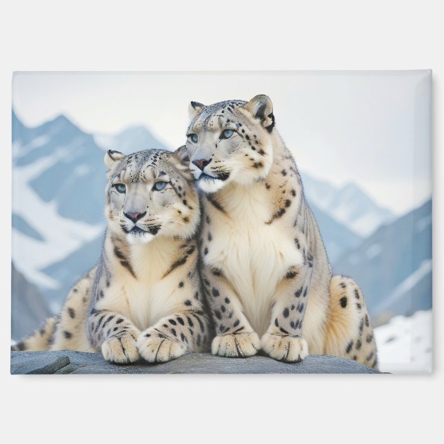 Snow Leopard Animal Nature Wildlife Affection Love Magnet (Front)