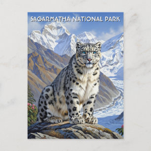 Snow Leopard at Sagarmatha National Park Nepal Postcard