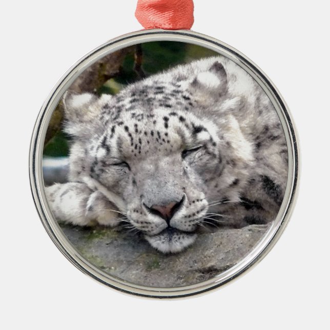 Snow Leopard - beautiful! Metal Tree Decoration (Front)