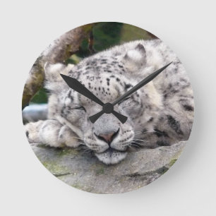 Snow Leopard - beautiful! Round Clock