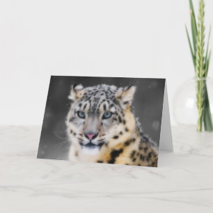 Snow Leopard Card