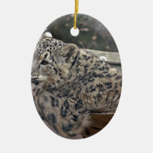 Snow Leopard Ceramic Ornament (Front)