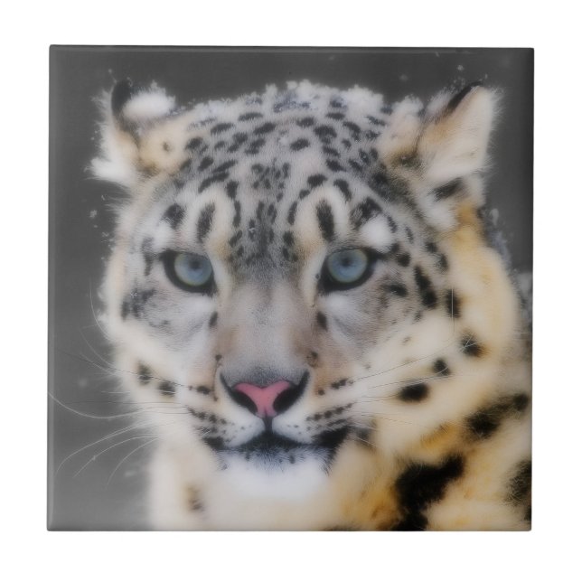 Snow Leopard Ceramic Tile (Front)