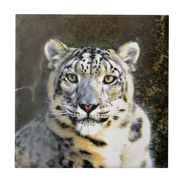 Snow Leopard Ceramic Tile (Front)