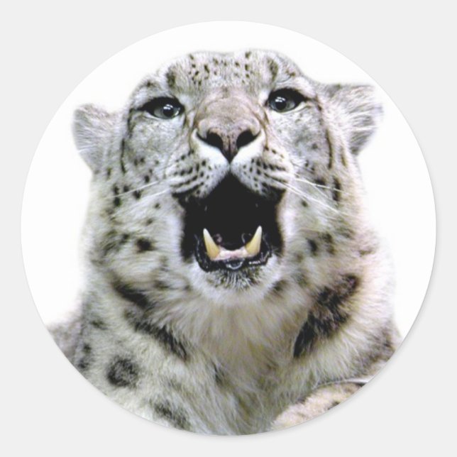 Snow Leopard Classic Round Sticker (Front)
