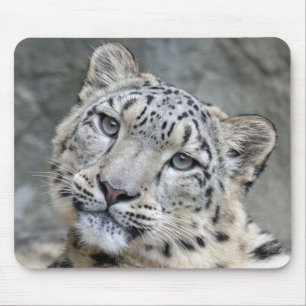 Snow Leopard Closeup Face  Mouse Pad