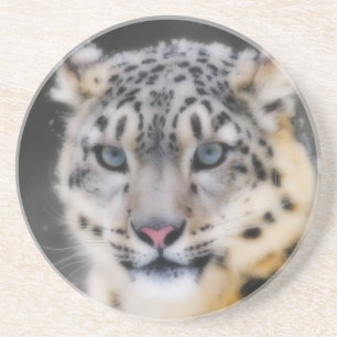 Snow Leopard Coaster