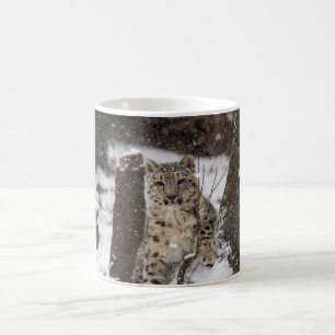 Snow Leopard Cub Coffee Mug