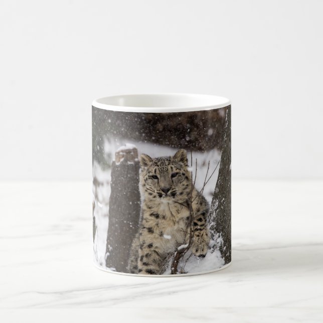 Snow Leopard Cub Coffee Mug (Center)