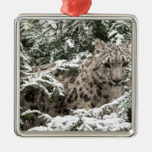 Snow Leopard Cub Hiding Metal Tree Decoration